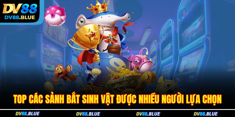 Top các sảnh bắt sinh vật được nhiều người lựa chọn Top các sảnh bắt sinh vật được nhiều người lựa chọn